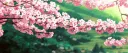 ୨୧﹒ ﹒Rain's Fruit Cafe﹒꒱ྀི Discord server banner