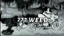 7.7.7. WEED banner