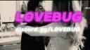 LoveBug || Social  •  Active  •  Gaming  •  Hangout  •  Anime  •  Chill Banner