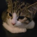 Klappeland v2 Banner