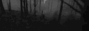 koura banner