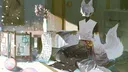 EVEREST ✦ PTY banner