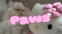🐾 𝓹𝓪𝔀𝓼; icons • decor • emojis • gifs banner