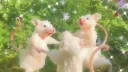 Крысиный Альянс banner