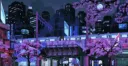 โก ๐๐๐๐๐๐ โก Discord server banner