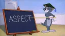Aspect banner