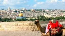 Israel server🇮🇱 banner