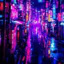 ₊ʚ 𝐒𝐄𝐋𝐕𝐀 𝐂𝐈𝐓𝐘⸝⸝ Banner