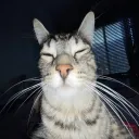 Snowies awesome server Banner