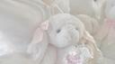𓆩AngelicHearts𓆪 Banner