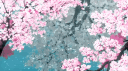 𝑀𝑎𝑔𝑛𝑜𝑙𝑖𝑎'𝑠 𝐾𝑎𝑧𝑜𝑘𝑢 💗 Discord server banner