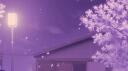 Meow meow Banner