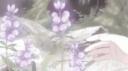 Poka Banner