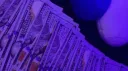 Fxck System banner