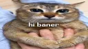 STICKY NATION banner