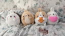 ₍ᐢ..ᐢ₎  .  ☁  .  molang  ꒰.໒꒱  guild-tags．giveaways．emojis．social Discord server banner