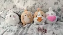 ♡﹒ʚ molang 🍙 emojis , social , giveaways , active banner