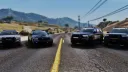 TNRP | BCSO banner