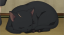 Peke J Land Discord server banner