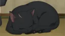 Peke J Land Discord server banner