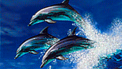 Guys Discord server banner