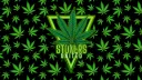 Stoners United banner
