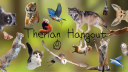 🐾Therian Hangout🪶 Discord server banner