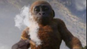Bounty's Willy Winter Wanking Woods Discord server banner