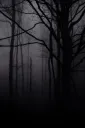 dissent 18+ /dsnt banner