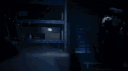 the cabin server banner