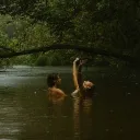 Ruthless - Arctic Monkeys. banner