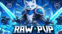 Raw PvP banner