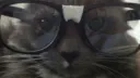 penance Discord server banner