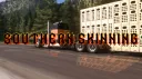 Southern Skinning banner