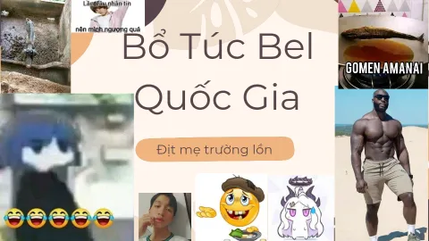 Trường THPT Bel Quốc Gia banner