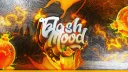 FlashMood | GTA RP / EN DEV banner