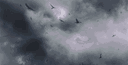 /half #RT100 banner