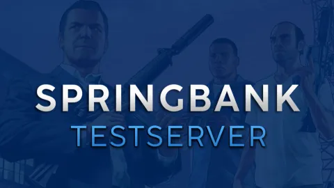 Springbank Testserver banner