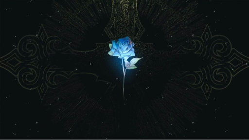 ⸝⸝ Discord server banner