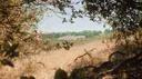 ✦ CrownedXDragon3’s special forces Discord server banner