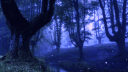 𝕷𝖆𝖎𝖗 𝖔𝖋 𝕷𝖎𝖑𝖞𝖙𝖍 banner