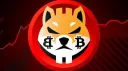 Shiba banner
