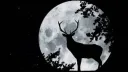 ︶꒦꒷ᖶᕼᙍ ᗫᙍᗅᗫ ᒪᗅᘉᗫS꒷꒦︶ server banner