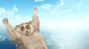 osu!Memezuela banner