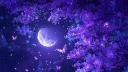 ⋆。˚✩ ✦ 𝓡𝓸𝓵𝓮𝓹𝓵𝓪𝔂 𝓡𝓮𝓪𝓵𝓶𝓼 ✦ ✩˚。⋆ Discord server banner