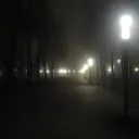 TRAPLORD SAVAGES Banner