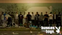 Rabbit Gang #JGRP banner