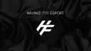 Having Fun Esport banner