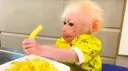 patatine fritte banner