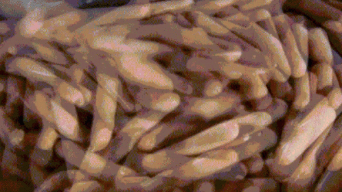 RADAL'S DISCORD Discord server banner